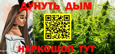 стаф Кинель