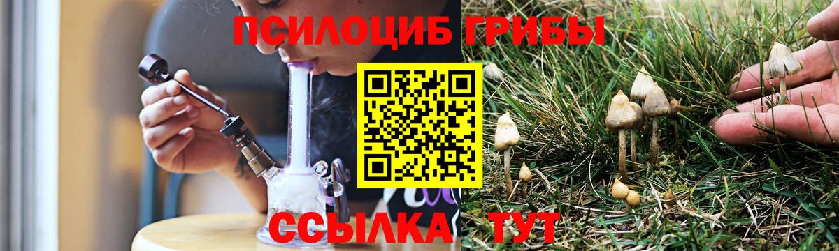 Псилоцибиновые грибы MAGIC MUSHROOMS Кирово-Чепецк