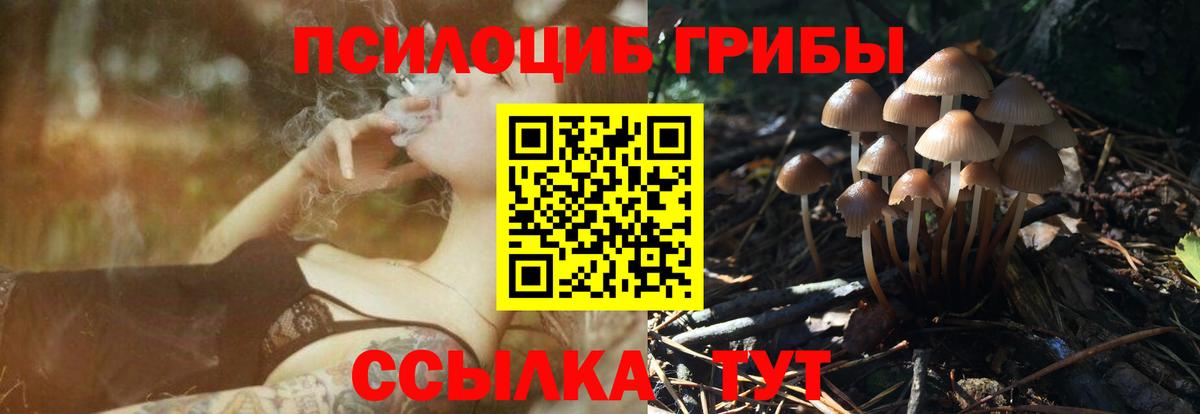 Кирово-Чепецк  купить наркотик  Вход с VPN  Псилоцибиновые грибы Cubensis 